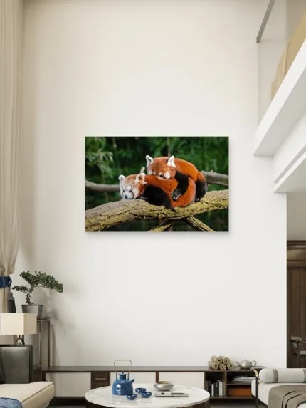 Crvene Pande Slike na metalu Poster na aluminijumu
