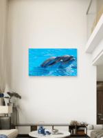 Delfini More Okean Slike na metalu Poster na aluminijumu