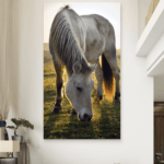 Konj u prirodi Slike na metalu Poster na aluminijumu