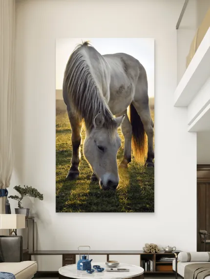 Konj u prirodi Slike na metalu Poster na aluminijumu