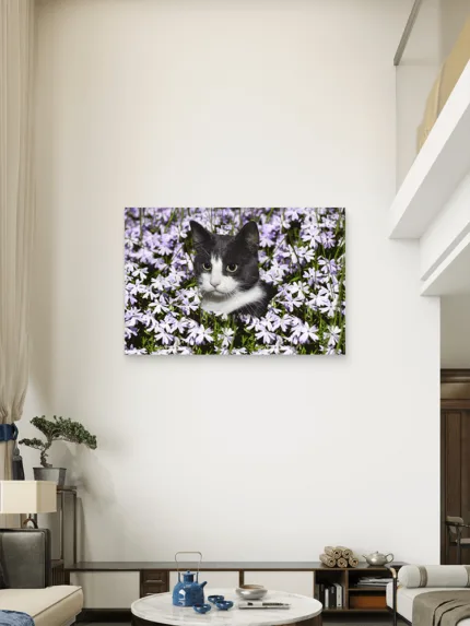 Mačka u prirodi cveće Slike na metalu Poster na aluminijumu