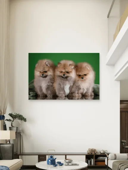 Pomeranac Slike na metalu Poster na aluminijumu