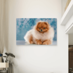 Pomeranac Slike na metalu Poster na aluminijumu